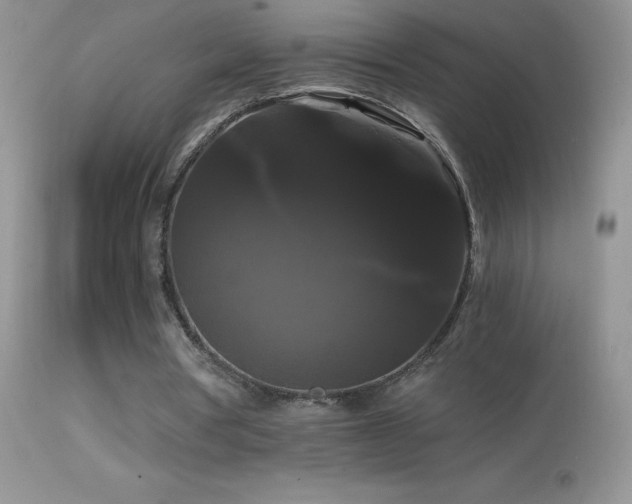 X0000114640386200910201447