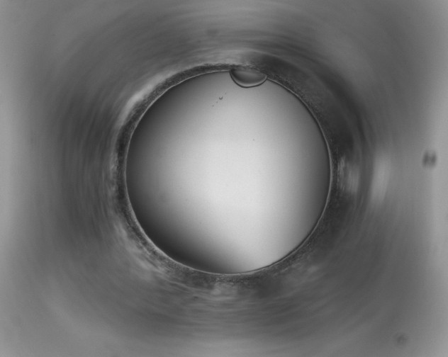 X0000114640388200910201447