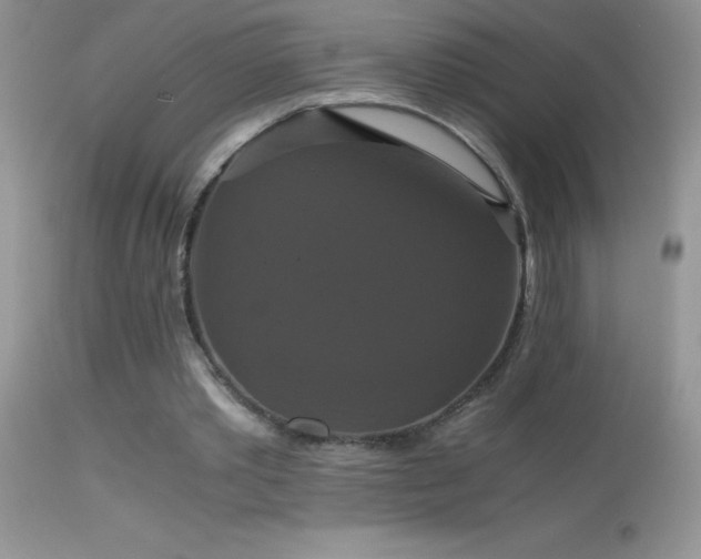 X0000114640389200910201447