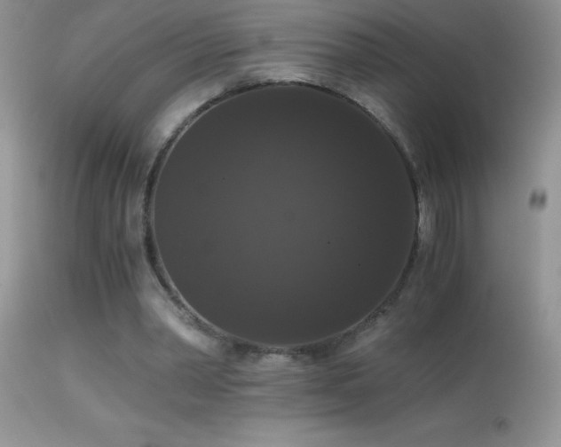 X0000114640390200910201447