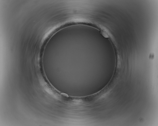 X0000114640391200910201447