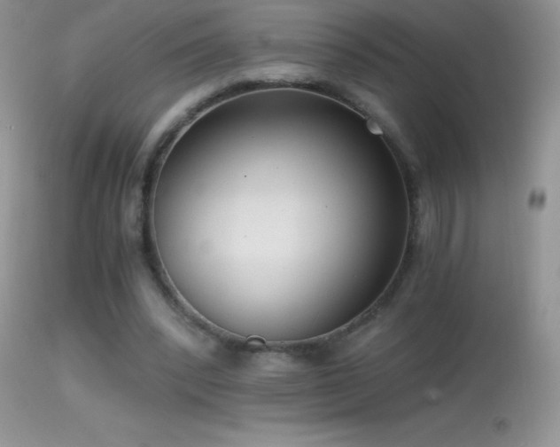 X0000114640392200910201447