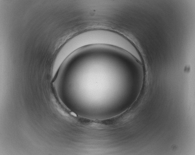 X0000114640393200910201447