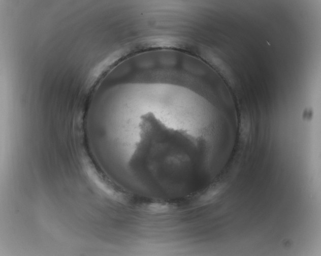 X0000114640394200910201447