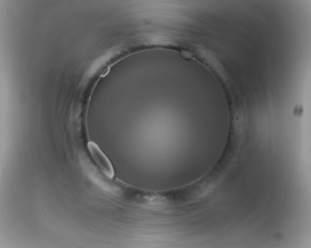 X0000114640395200910201447