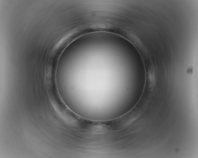X0000114640396200910201447