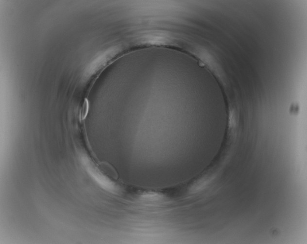 X0000114640397200910201447
