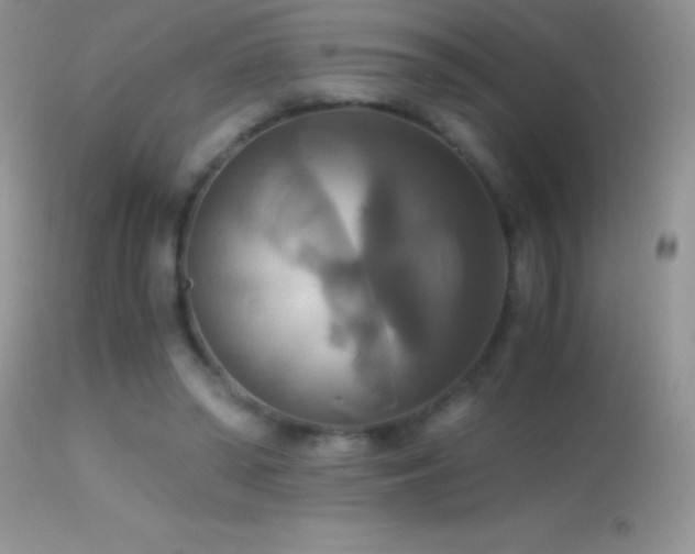 X0000114640398200910201447