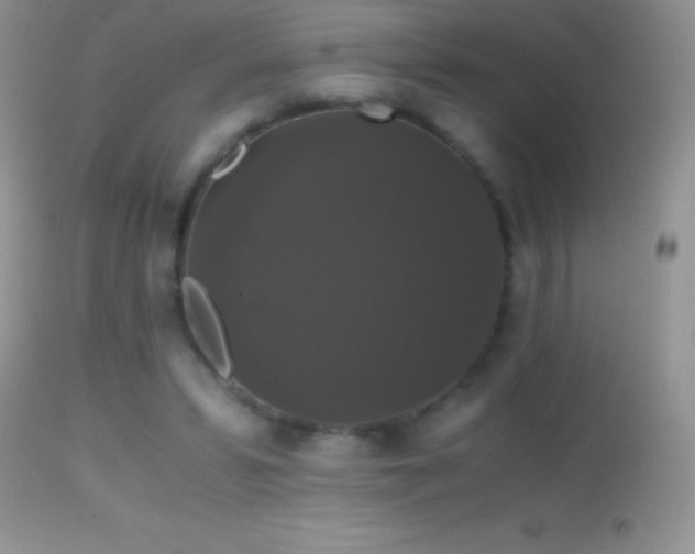 X0000114640399200910201447
