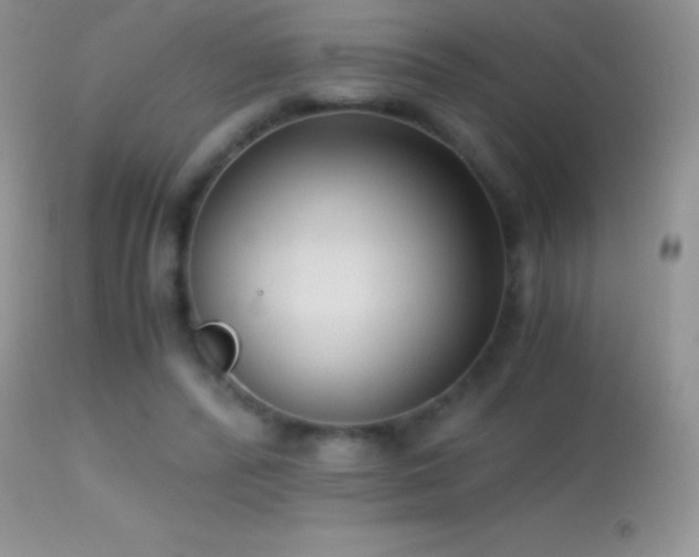 X0000114640400200910201447