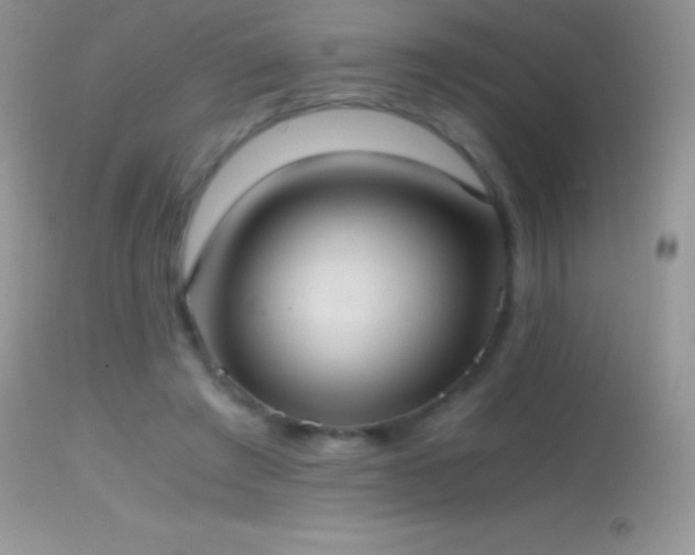 X0000114640401200910201447