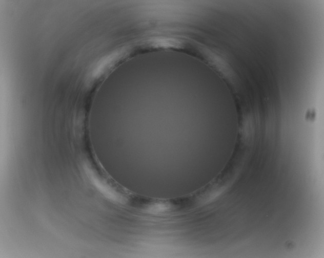X0000114640402200910201447