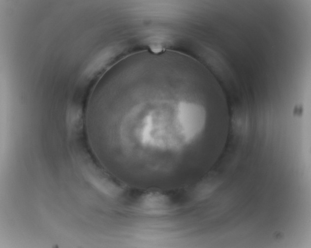 X0000114640403200910201447