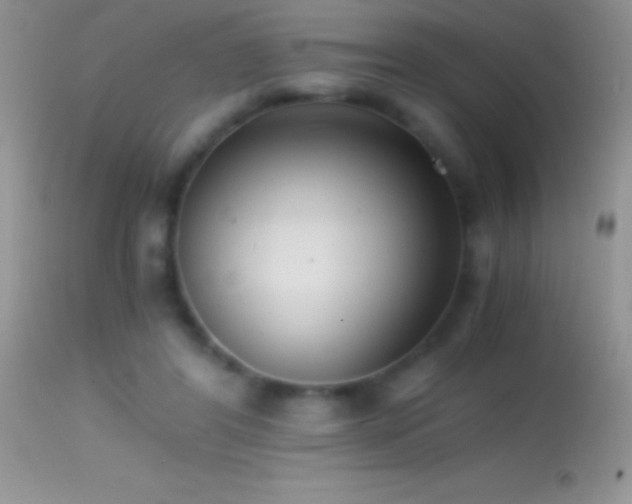 X0000114640404200910201447