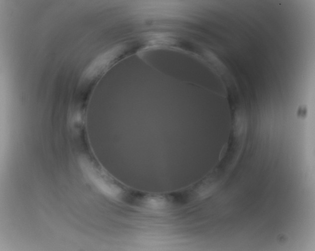 X0000114640405200910201447