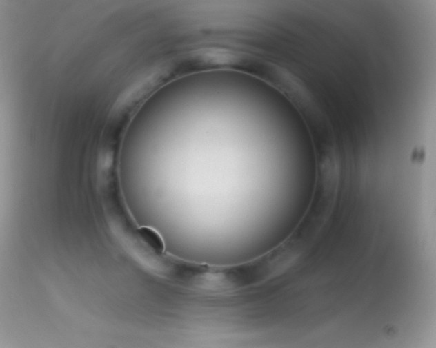 X0000114640406200910201447