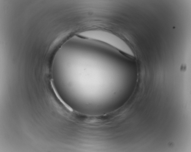 X0000114640407200910201447