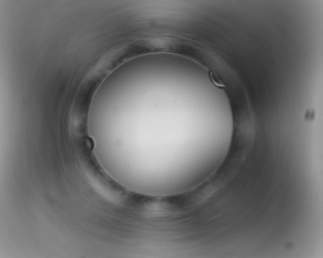 X0000114640408200910201447