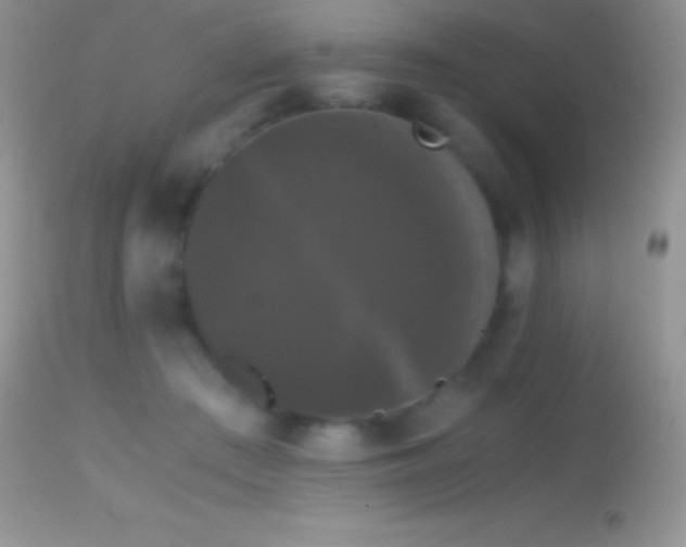 X0000114640409200910201447