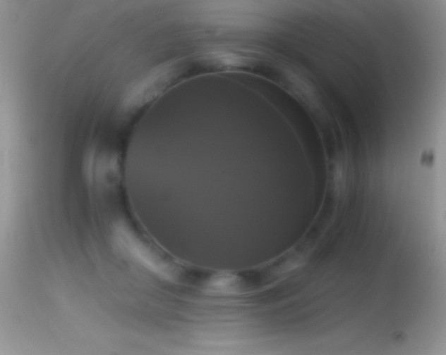X0000114640410200910201447