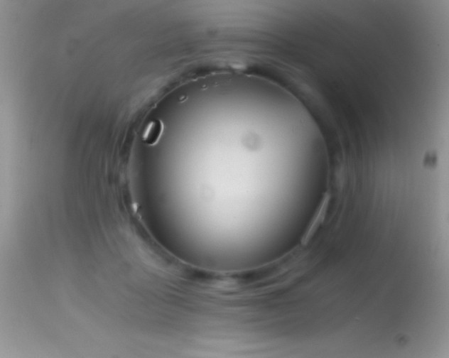 X0000114640411200910201447
