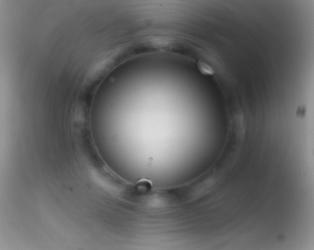 X0000114640412200910201447