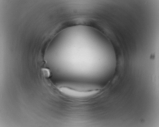 X0000114640413200910201447