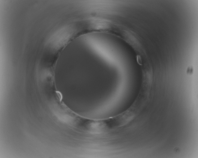X0000114640415200910201447