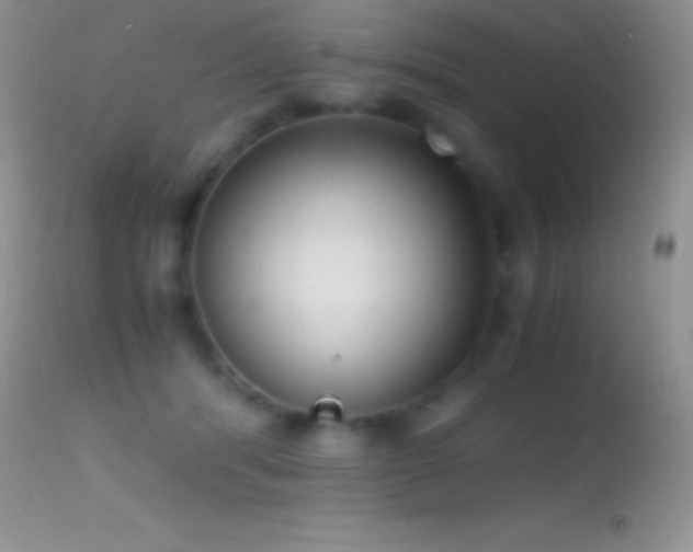 X0000114640416200910201447