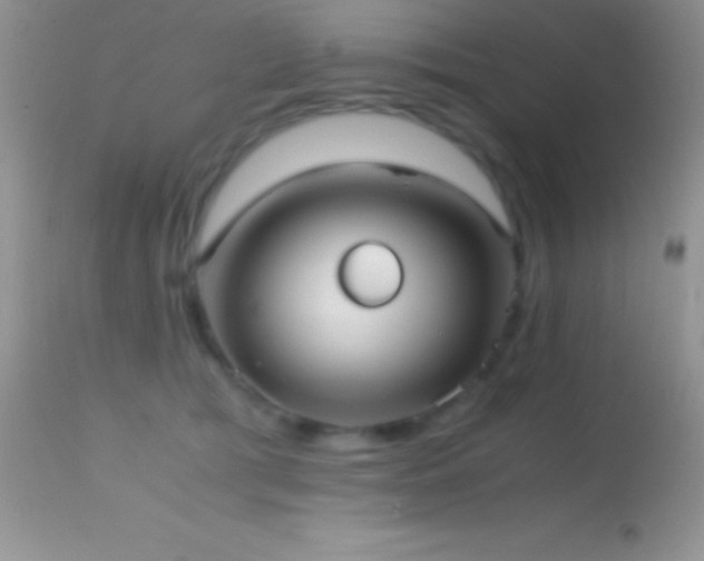 X0000114640417200910201447