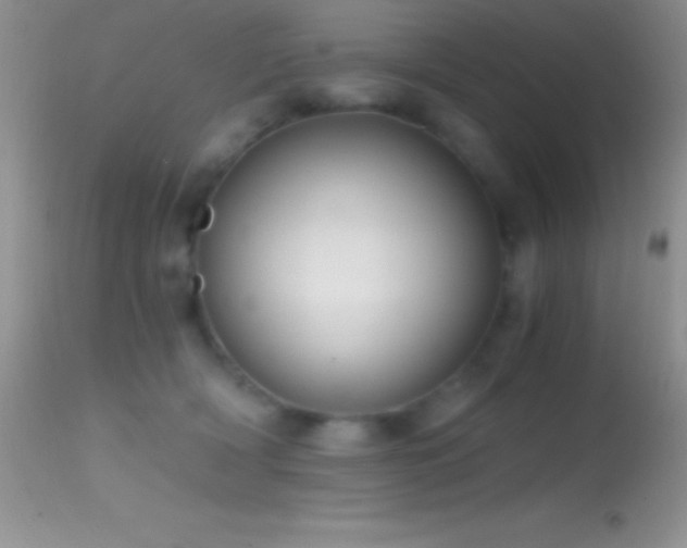 X0000114640418200910201447