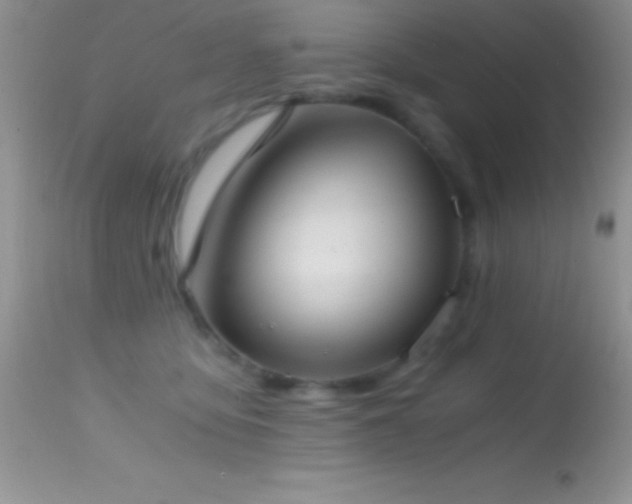 X0000114640419200910201447