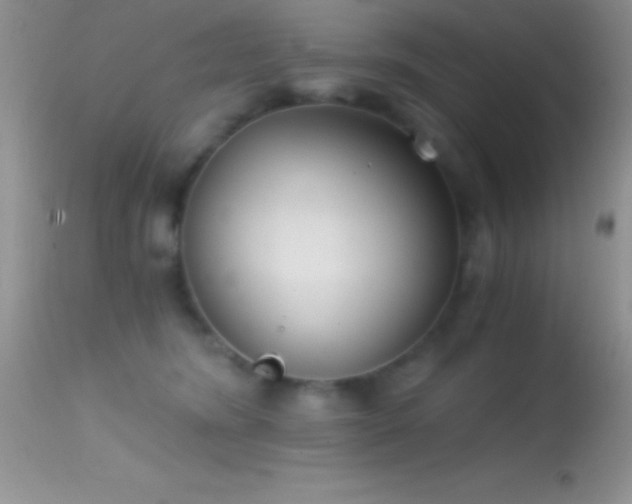 X0000114640420200910201447