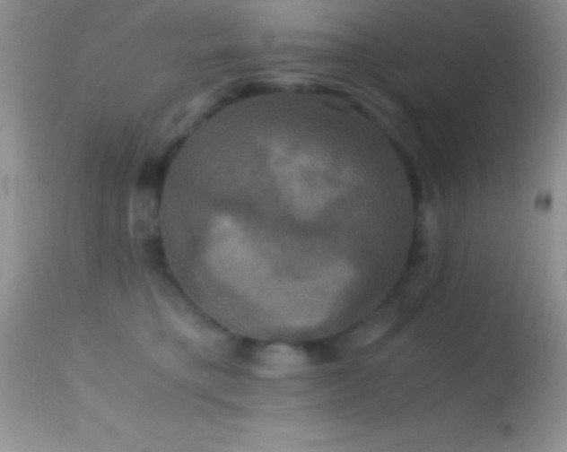 X0000114640421200910201447