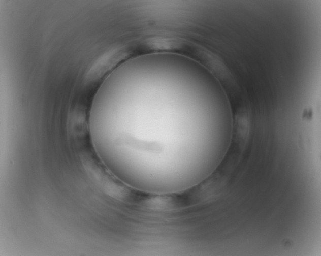 X0000114640422200910201447