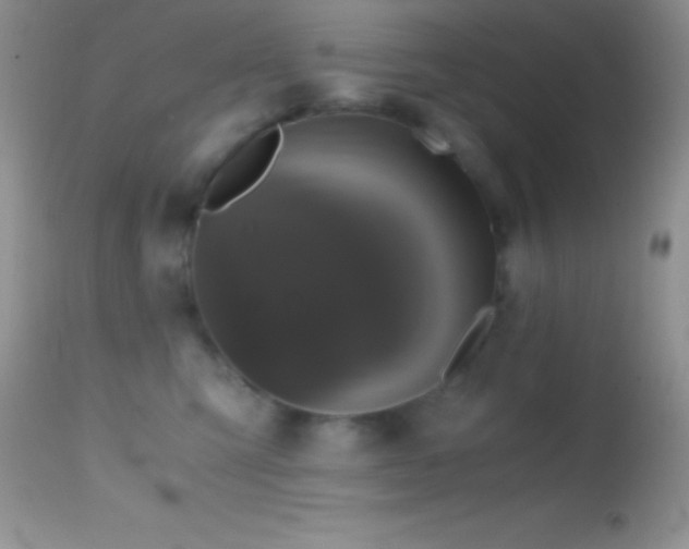 X0000114640423200910201447