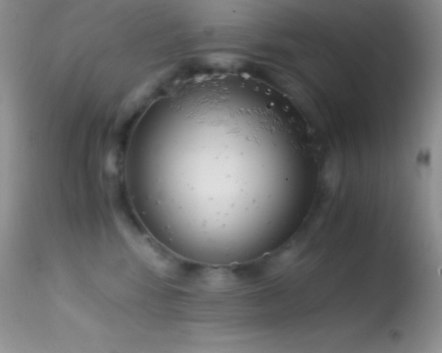 X0000114640424200910201447