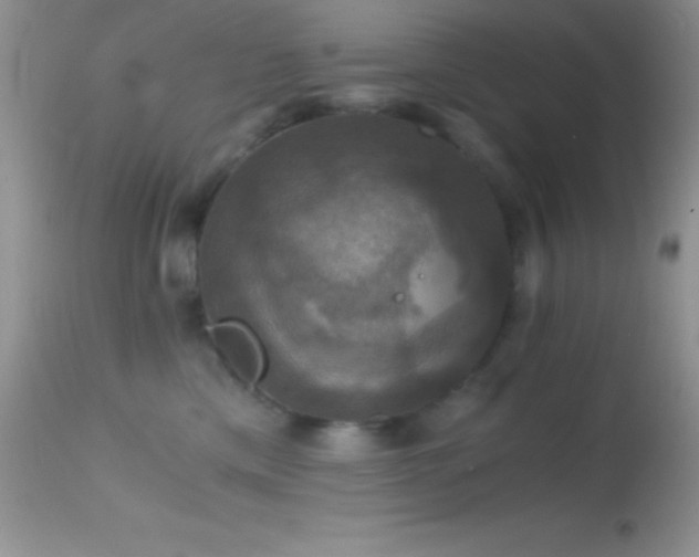 X0000114640425200910201447