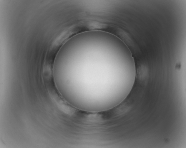 X0000114640426200910201447