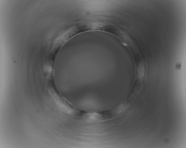 X0000114640427200910201447