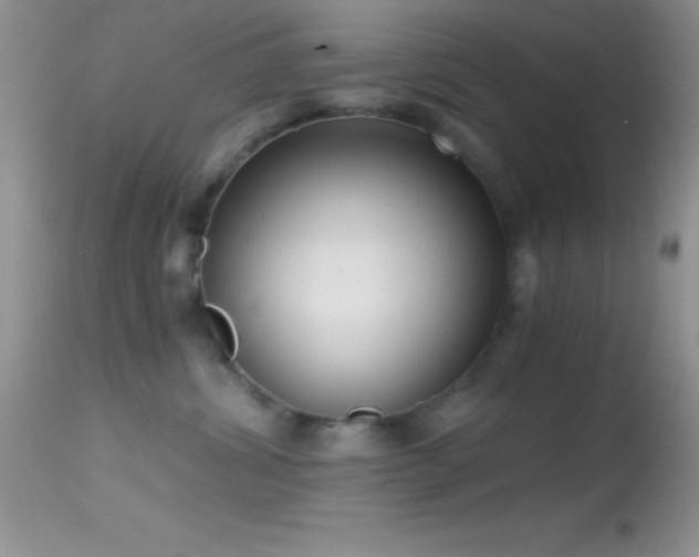 X0000114640428200910201447