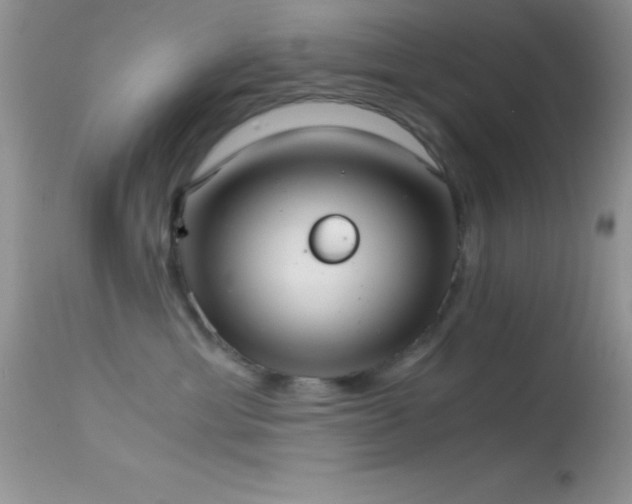 X0000114640429200910201447