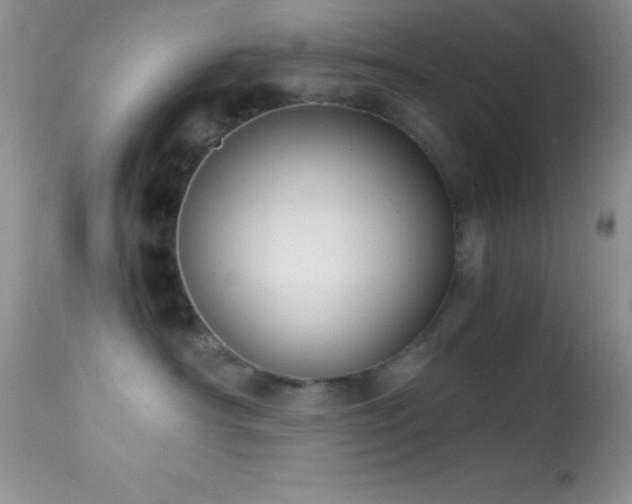 X0000114640430200910201447