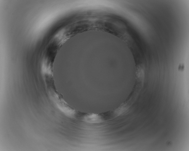 X0000114640431200910201447