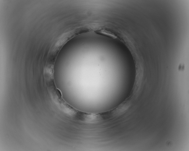 X0000114640432200910201447
