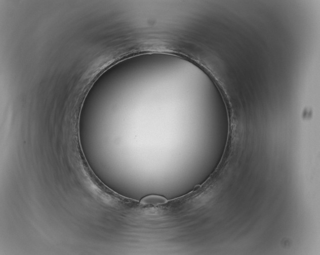 X0000114640433200910201446