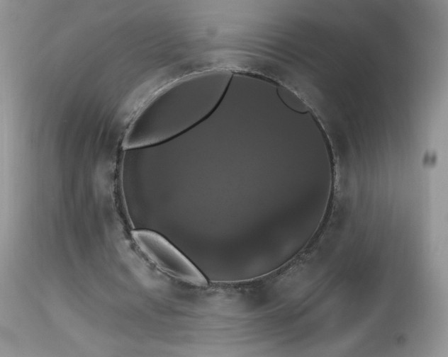 X0000114640434200910201446