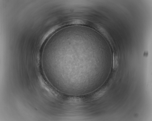 X0000114640435200910201446