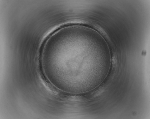 X0000114640436200910201446