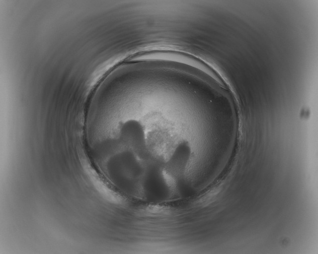 X0000114640437200910201446